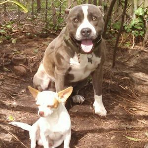 Meet your Posher, Tony